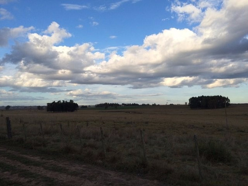 Campo De 92 Há En Rocha A 6 Km De La Ciudad De Rocha