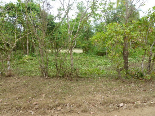 Vendo Lote De Terreno De  3240 M2  Veraguas Arena De Quebro