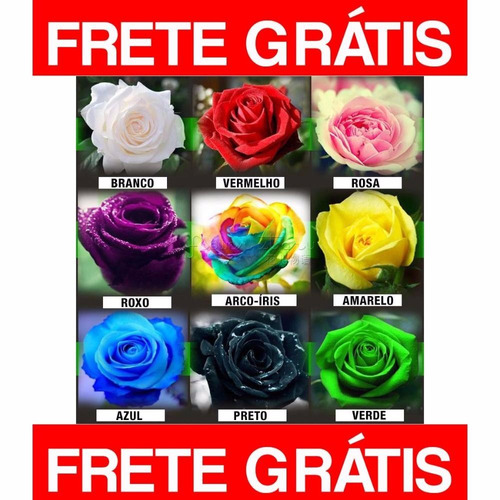 45 Sementes Rosas Raras Negra Colorida Verde - Frete Gratis