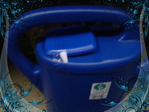 Imagen 4 de 5 de Regadera 5 Litros Con Flor Primera Marca Envios