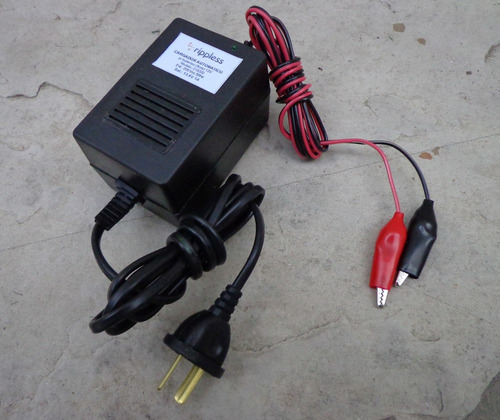 Imagen 1 de 3 de Cargador Automatico De Baterias Gel 6v Ó 12v Vehiculo Niño