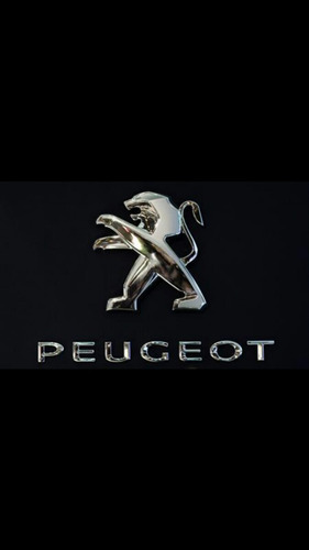 Guardapolvo Del Tripoide Peugeot 405 407 408