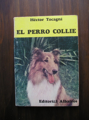 El Perro Collie Por Hector Tocagni