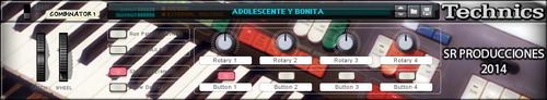 Technics C600 Refill Para Reason