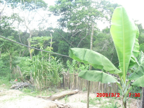 Imagem 3 de 15 de Chacara No Bairro Taquaras Prox. Cidade | 48216 - 48216
