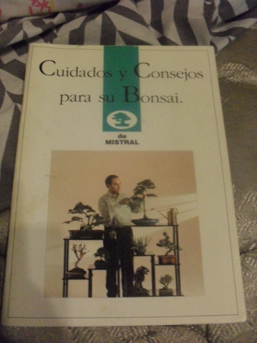 Cuidados Y Consejos Para Su Bonsai De Mistral Hago Envíos