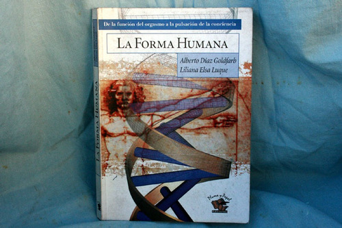 La Forma Humana, Diaz Goldfarb Luque