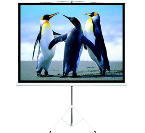 Pantalla Proyector Con Tripode 100 Pulgadas Intelaid Tps100