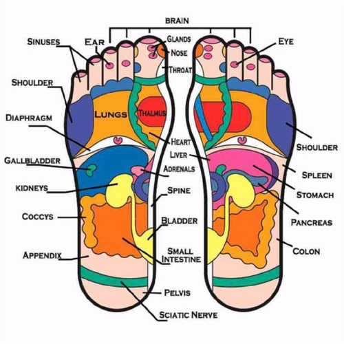 Advance Electroreflex Reflexologia Podal