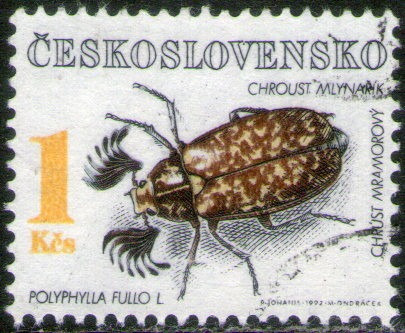 Checoslovaquia Sello Usado Insecto = Escarabajo Año 1992