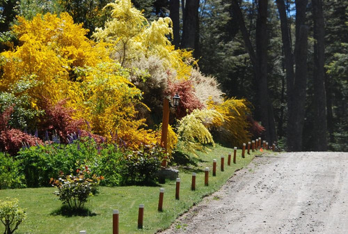 Imagen 14 de 14 de Excelente Casa En Villa La Angostura - Neuquen - Bariloche