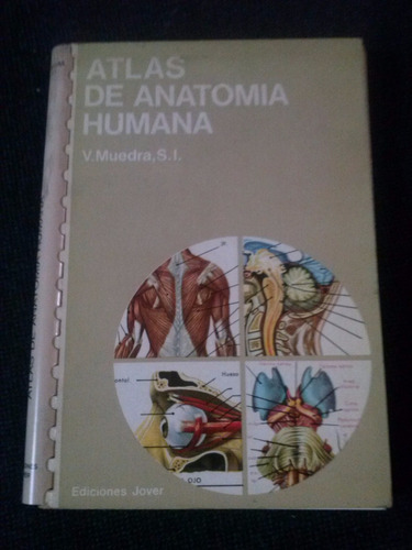 Atlas De Anatomia Humana Muedra
