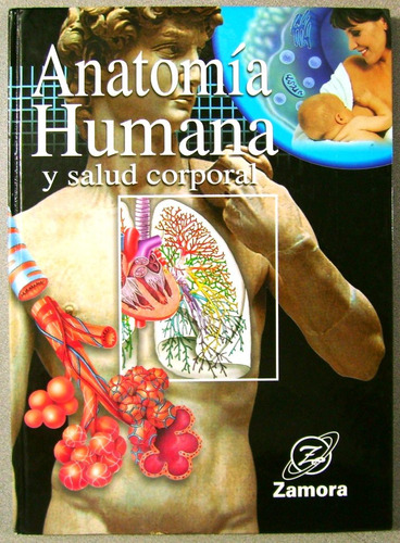 Atlas De Anatomia Humana Y Salud Corporal / Zamora