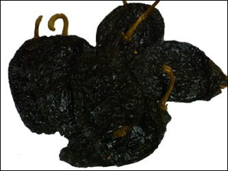 Chile Mulato Código 1209 (1 Kilo)