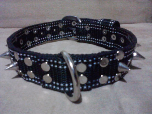 Collar De Taches Para Perro Baratisimas