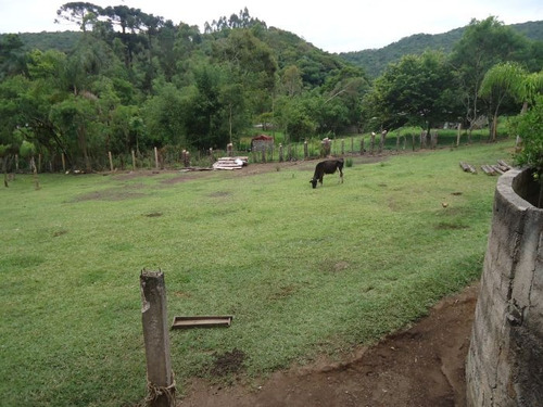 Imagem 11 de 15 de Sitio No Bairro Vargem Do Salto | 47733 - 47733