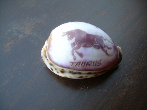 Concha Tallada  Taurus-antigua