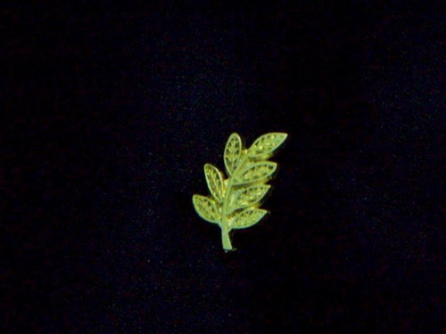 Pin  De Acacia En Metal Dorado