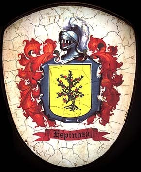 Escudos De Apellidos Familias Matrimonial