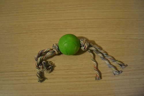 Bolinha Mordedor Para Cachorro