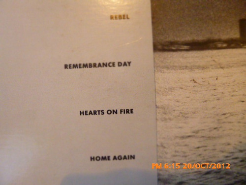 Vinilo Lp Bryan Adams Into The Fire (xx277 (Usado)
