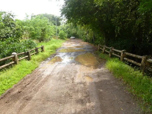 comprar Vendo Terreno De 1ha+7981 M2 En La Chorrera, Perequeté