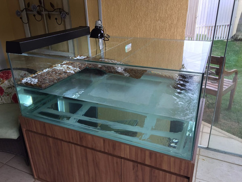Terrario Para Tartaruga Aquática Direto Da Fabrica