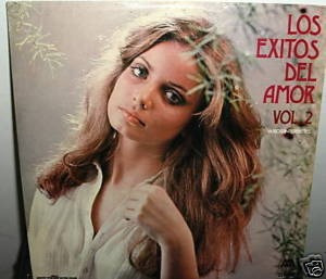 Violeta Rivas Diana Maria Exitos Del Amor Vinilo Ecuatoriano