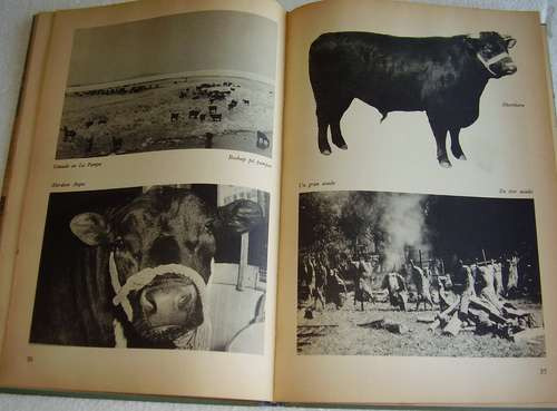 Fotos Argentina Publicado Asociación Sueco-argentina 1944