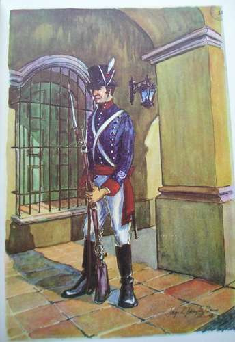 Libro Uniformes Militares De La Patria, Argentina, Laminas