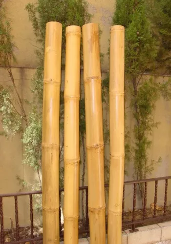 Cañas De Bambu Quemadas Jardin Patio Hogar Decoracion Bamboo