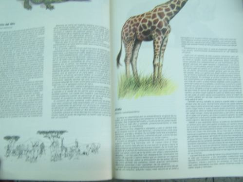 Los Animales Y Su Mundo * Jorge Quargnolo *