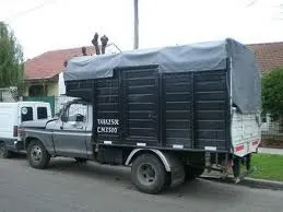 Fletes Mudanzas Camiones Grandes Medianos Peones O96716121