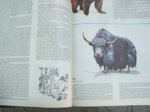 Los Animales Y Su Mundo * Jorge Quargnolo *