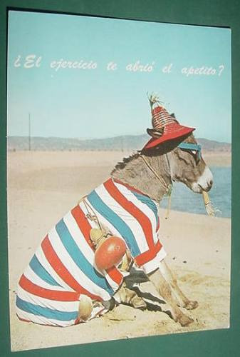 Postal Postcard Vintage Edicolor Serrana Burro Disfrazado