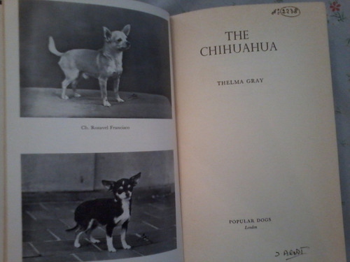 The Chihuahua    Thelma Gray   -  Popular Dogs Publishing