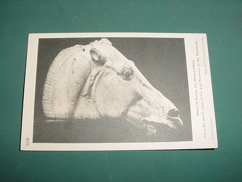 Postal Postcard Escultura Cabeza Caballo Horse Of Selene