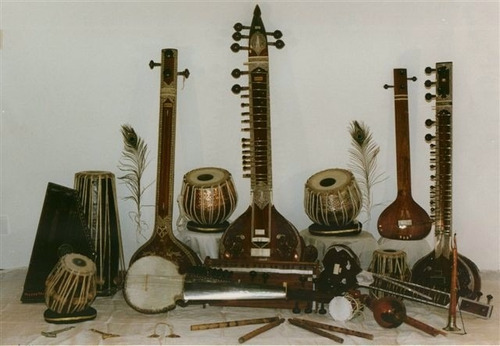 Tambura Tampuri Tamboura Hindu De La India Profesional