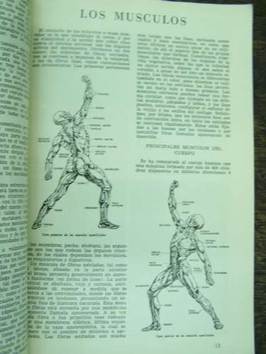 Imagen 2 de 2 de El Cuerpo Humano * Enciclopedia Ilustrada Atlantida *