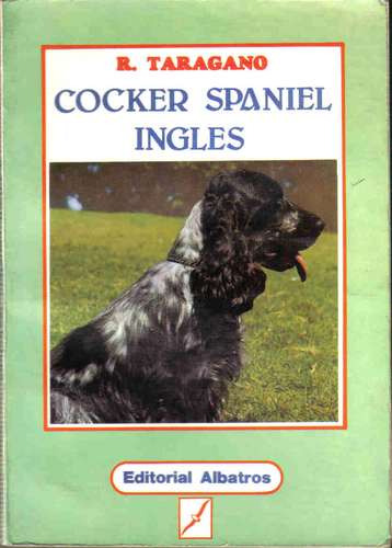 Cocker Spaniel Ingles