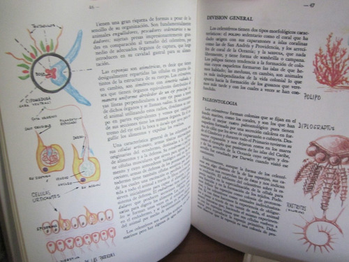 Enciclopedia De La Naturaleza 5 Tomos.