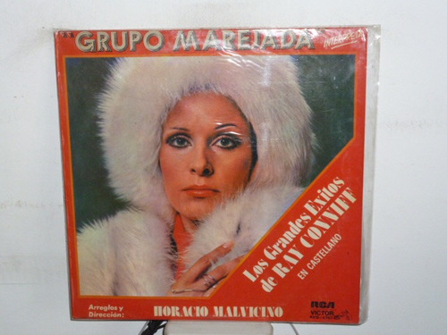 Grupo Marejada Exitos De Ray Conniff Vinilo Argentino