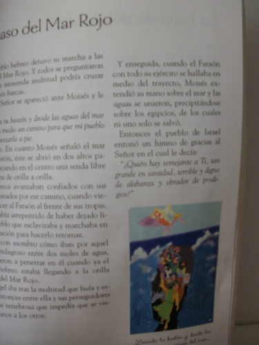 La Biblia Contada Para Los Niños