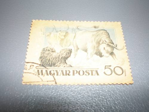 Sello Postal Estampilla Hungria Ganado Antigua