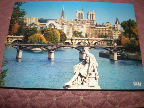 Postal Panoramica Ciudad De Paris - Notre Dame