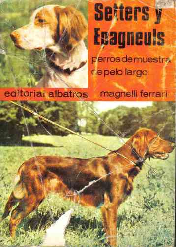 Setters Y Epagneuls