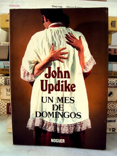 John Updike, Un Mes De Domingos - L35