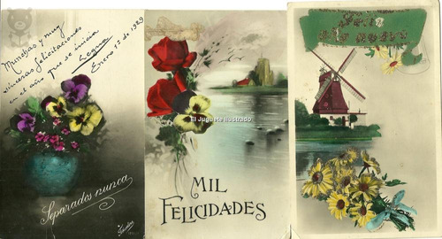 Lote X3 Flores 1930 Tarjetas Postales Rosas Antigua