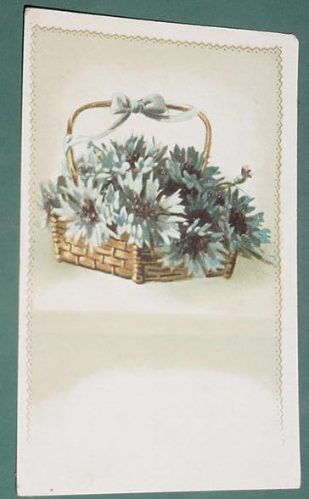 Postal Postcards Canasta Flores Jogly Corona Botanica Planta