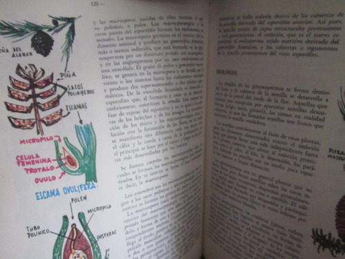 Enciclopedia De La Naturaleza 5 Tomos.